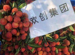 夏日好“枝”味，乐鱼_乐鱼（中国）官方网站|乐鱼平台集团发福“荔”啦