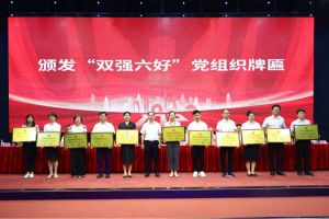 喜报！乐鱼_乐鱼（中国）官方网站|乐鱼平台集团党支部荣获广州市非公有制经济组织“双强六好”党