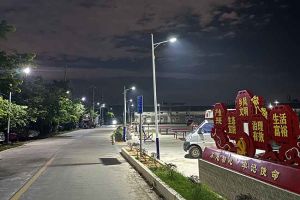 乐鱼_乐鱼（中国）官方网站|乐鱼平台集团罗宁弟爱心捐赠路灯，点亮乡村路温暖乡民心